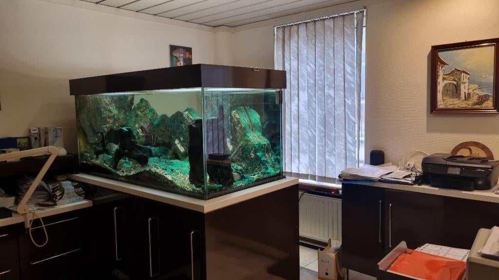 Aquarium 770 liter met buitenfilter, Dieren en Toebehoren, Vissen | Aquaria en Toebehoren, Zo goed als nieuw, Gevuld zoetwateraquarium