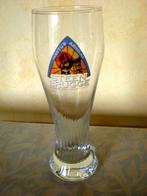Steenbrugge, Verzamelen, Biermerken, Ophalen of Verzenden, Zo goed als nieuw, Glas of Glazen