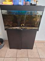 Visbak te koop bak plus meubel, Dieren en Toebehoren, Ophalen