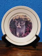 Assiette en porcelaine avec chaton,et le support en bois ., Antiquités & Art, Enlèvement ou Envoi