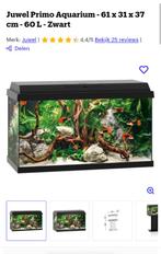 Juwel primo 60 + guppen + plantje, Dieren en Toebehoren, Ophalen of Verzenden, Zo goed als nieuw