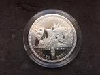 2016 Berlin - Panda - 1 oz silver 1e uitgifte !, Enlèvement ou Envoi, Argent