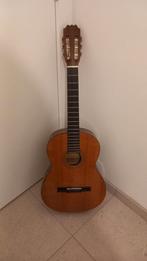 Ariana acoustic bruin Gitaar, Muziek en Instrumenten, Snaarinstrumenten | Gitaren | Akoestisch, Ophalen, Zo goed als nieuw