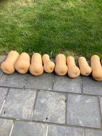 Pompoen butternut, Dieren en Toebehoren, Ophalen, Zo goed als nieuw