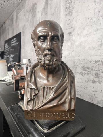 Buste en bronze d’Hippocrate signé Chardigny (1854)  beschikbaar voor biedingen