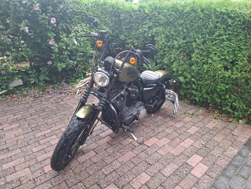 Harley Davidson Iron 883, Motoren, Motoren | Harley-Davidson, Particulier, Chopper, meer dan 35 kW, 2 cilinders, Motorrijbewijs A