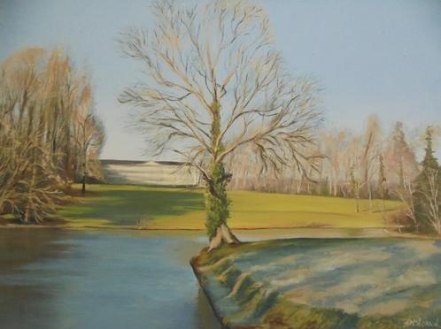 olieschilderij Park Ter Rijst (60x80 cm), Antiek en Kunst, Kunst | Schilderijen | Klassiek, Ophalen of Verzenden