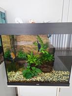 Complete Juwel aquarium, Ophalen, Zo goed als nieuw, Gevuld zoetwateraquarium