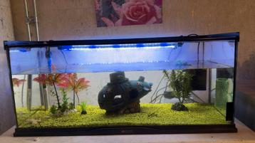 Aquarium met warmtepomp,visnetje,licht,decoratie en filter beschikbaar voor biedingen