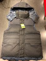 Bodywarmer gucci, Kleding | Heren, Bodywarmers, Ophalen, Nieuw, Gucci, Maat 48/50 (M)