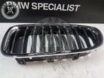 Bmw f10 f11 gril links 7412323, Auto-onderdelen, Gebruikt, Ophalen of Verzenden, Achter, Bumper