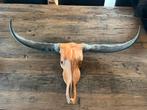 Bull skull, Huis en Inrichting, Ophalen, Zo goed als nieuw