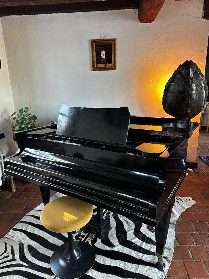 piano, Musique & Instruments, Pianos, Utilisé, À queue, Noir, Enlèvement