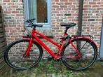 Elektrische fiets (Ampler Stellar) voor onderdelen/reparatie, Fietsen en Brommers, Elektrische fietsen, Gebruikt, 51 tot 55 cm