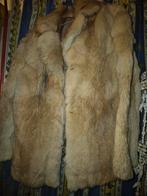 Vend veste en loup véritable, Vêtements | Femmes, Enlèvement