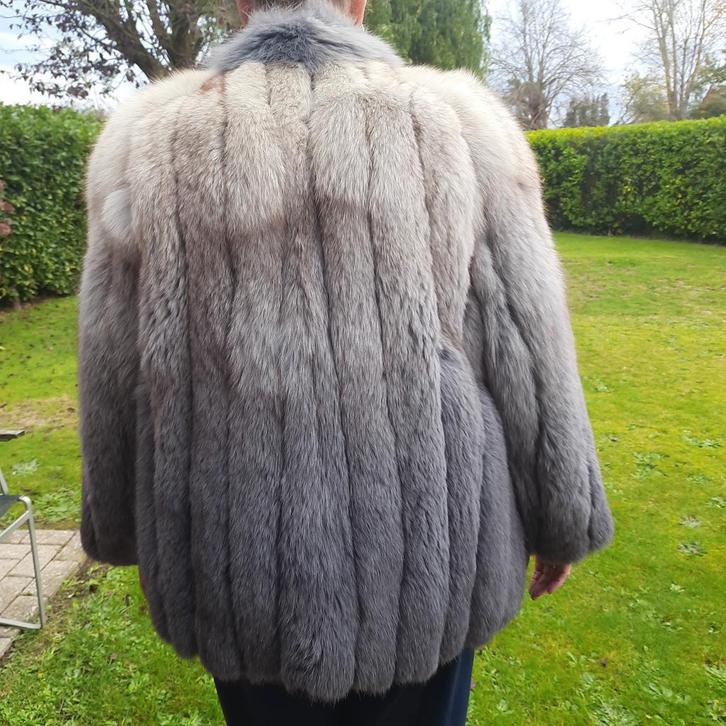 MOOIE WARME PELSVEST VOS*mt.38*GRIJS/BLAUW(, Kleding | Dames, Jassen | Winter, Nieuw, Maat 38/40 (M), Grijs, Ophalen