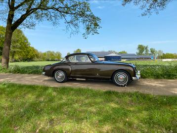 1954 Nash-Healey Le Mans Coupe Pininfarina