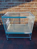 NOUVELLE CAGE À OISEAUX avec tous les accessoires et sur ROU, Animaux & Accessoires, Enlèvement, Neuf, Aluminium, Cage à oiseaux