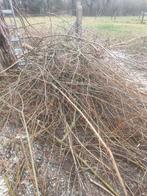 fijne wilgentakken - tenen - schutting - vlechtwerk - voeder, Tuin en Terras, Ophalen, Hout
