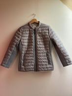 Jas Taifun 38, Maat 38/40 (M), Ophalen of Verzenden, Taifun, Grijs