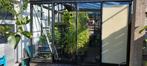 serre, Tuin en Terras, Ophalen, Gebruikt, Kweekkas, Glas