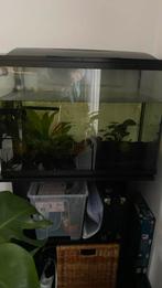 Aquarium te koop, Dieren en Toebehoren, Vissen | Aquaria en Toebehoren, Ophalen, Zo goed als nieuw, Leeg aquarium