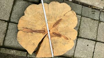 Houten schijf van den beschikbaar voor biedingen