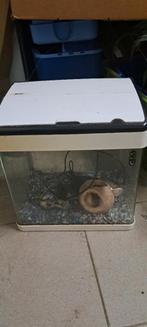 Aquarium met licht en toebehoren, Dieren en Toebehoren, Ophalen, Gebruikt, Verlichting of Verwarming