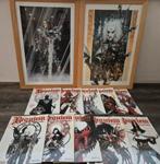 10 - delige reeks Requim Vampire knight met 2 litho's, Complete serie of reeks, Europa, Ophalen of Verzenden, Zo goed als nieuw