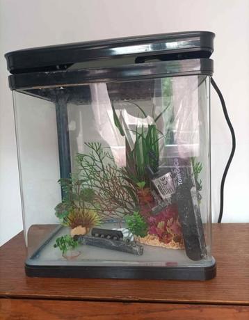 Aquarium monocoque, Enlèvement, Comme neuf