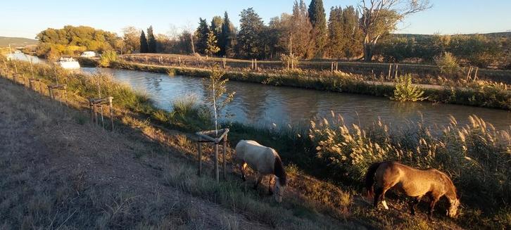A louer, terrain prive cloture 560 mètres avec garage, Immo, Étranger, France