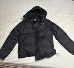 Winterjas dickies, Ophalen of Verzenden, Zo goed als nieuw