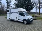 Opel Movano Horse Truck Verpass, Dieren en Toebehoren, Ophalen, Gebruikt, 2-paards trailer