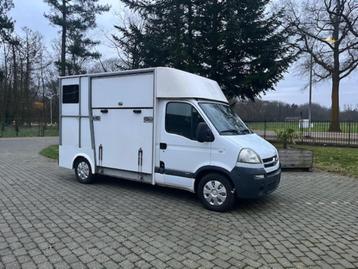 Opel Movano Horse Truck Verpass beschikbaar voor biedingen