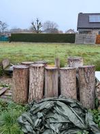 Nagelblokken verschillende houtsoorten 90 cm hoog, Tuin en Terras, Brandhout, Ophalen