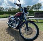 Harley Davidson 1200 Sportster, Motoren, Chopper, Particulier, 1200 cc