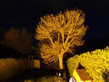 boîtiers lumineux avec lampes à haute pression au sodium, 75 cm ou plus, Kweeklampen, Enlèvement ou Envoi, Comme neuf