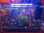 Superfish home 110 met vissen, Dieren en Toebehoren, Vissen | Aquaria en Toebehoren, Ophalen, Zo goed als nieuw