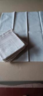 10 katoenen servetten, Huis en Inrichting, Ophalen of Verzenden, Zo goed als nieuw, Vierkant