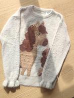 Twee dikketruien, Kinderen en Baby's, Kinderkleding | Maat 122, Ophalen of Verzenden, Gebruikt, Meisje, Trui of Vest