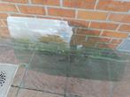 peugeot 106 saxo zijruit LV (groene tint), Auto-onderdelen, Ophalen, Gebruikt, Citroën