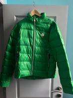Jas Gaastra, Kleding | Dames, Wintersportkleding, Gaastra, Zo goed als nieuw, Jack, Ophalen