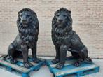 BRONZEN TOT DE VERBEELDING SPREKENDE LEEUWEN 1,45 M HOOG!, Jardin & Terrasse, Statues de jardin, Comme neuf, Animal, Autres matériaux