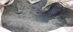 Voegsplit 2-4 mm grijs graniet in bigbag 3/4 vol, Tuin en Terras, Ophalen, Graniet, Nieuw, Split