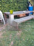 Geraamte van een grote bench, Dieren en Toebehoren, Knaagdieren en Konijnen | Hokken en Kooien, Ophalen, Zo goed als nieuw