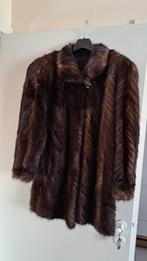 veste vison vintage taille 40-42, Kleding | Dames, Ophalen of Verzenden, Zo goed als nieuw, Maat 42/44 (L), Bruin