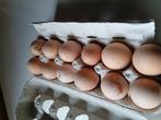 Verse eieren, Diversen, Levensmiddelen, Ophalen