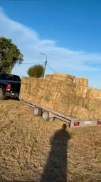 Kleine pakken hooi, Dieren en Toebehoren, Ophalen