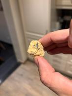 Krijt haaientand Archeolamna kopingensis uit België, Verzamelen, Mineralen en Fossielen, Ophalen of Verzenden