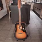 Fender 12-string akoestisch-elektrische gitaar, Muziek en Instrumenten, Ophalen, Gebruikt
